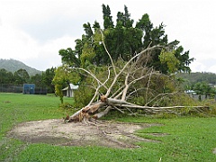 Cairns45 Cyclone Larry
